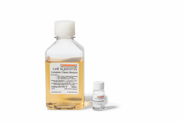 ブースター・導入液 Belle Stem Serum 200mg / 6 vials Belle Stem Serum 200mg / 6 vials