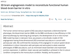 3D Brain Angiogenesis Models using ACBRI 376 primary cells