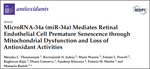 Research on Diabetic Retinopathy using Cell Systems Primary Cells and Media