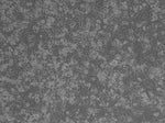 Human Plateable Hepatocytes Lot 001A- Day 1