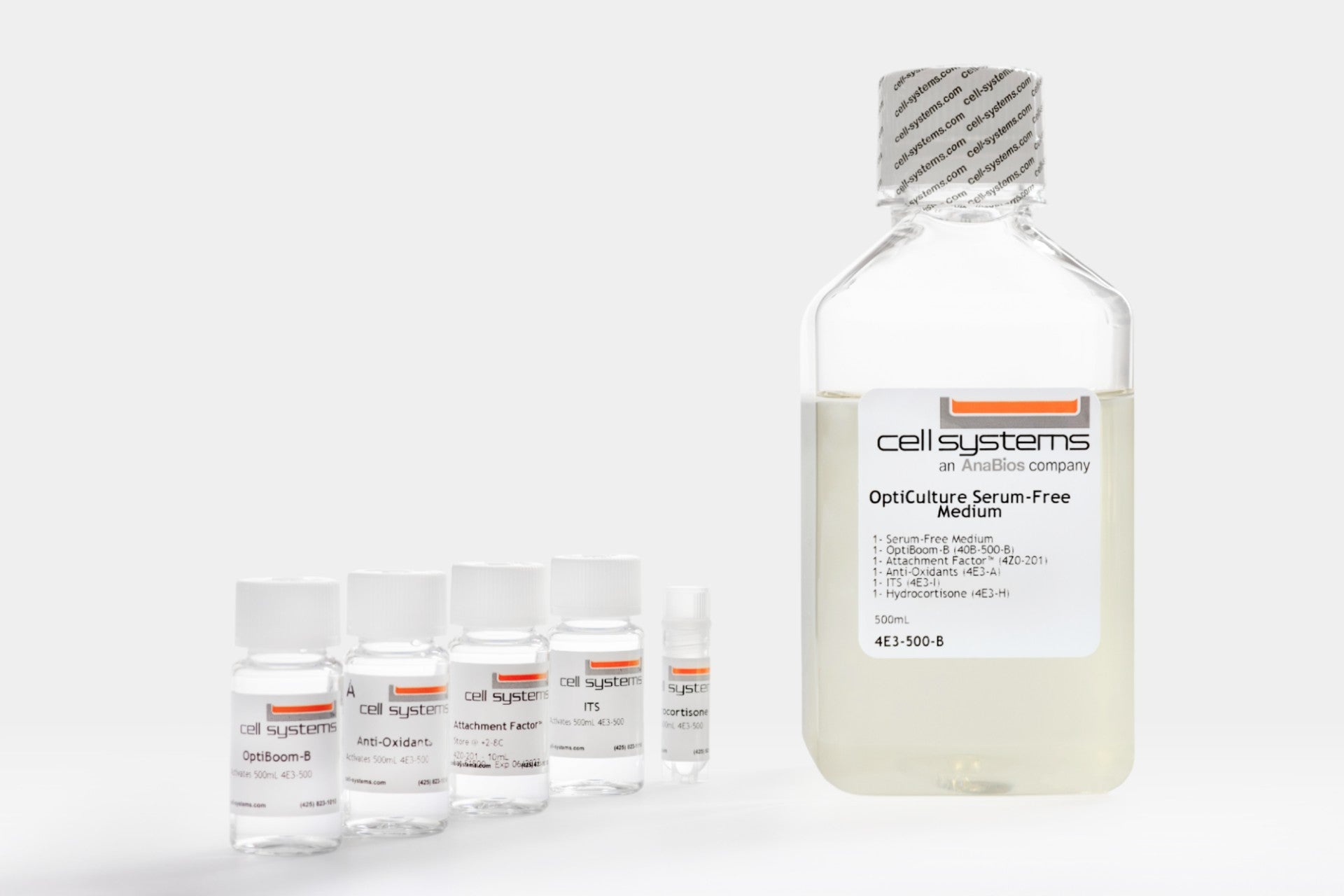 Cell Systems Primary Human Aortic Endothelial Cells (ACBRI 375)