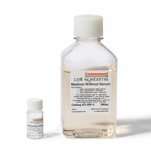 Cell Systems Primary Human Aortic Endothelial Cells (ACBRI 375) 