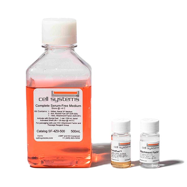 Cell Systems Primary Human Aortic Endothelial Cells (ACBRI 375)